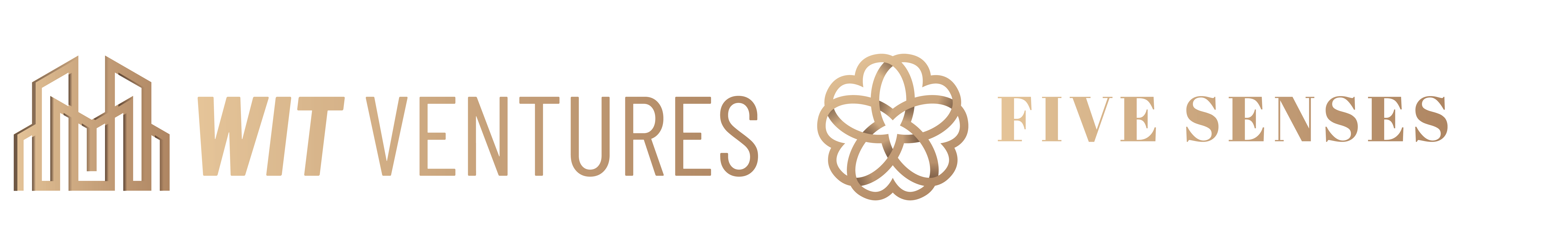 cropped-WIT-Logo.png